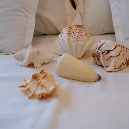 Apartment Sunny * Split